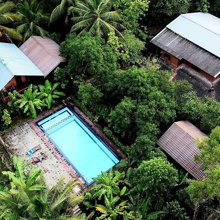 Sun And Green Eco Lodge - Дамбулла Екстер'єр фото