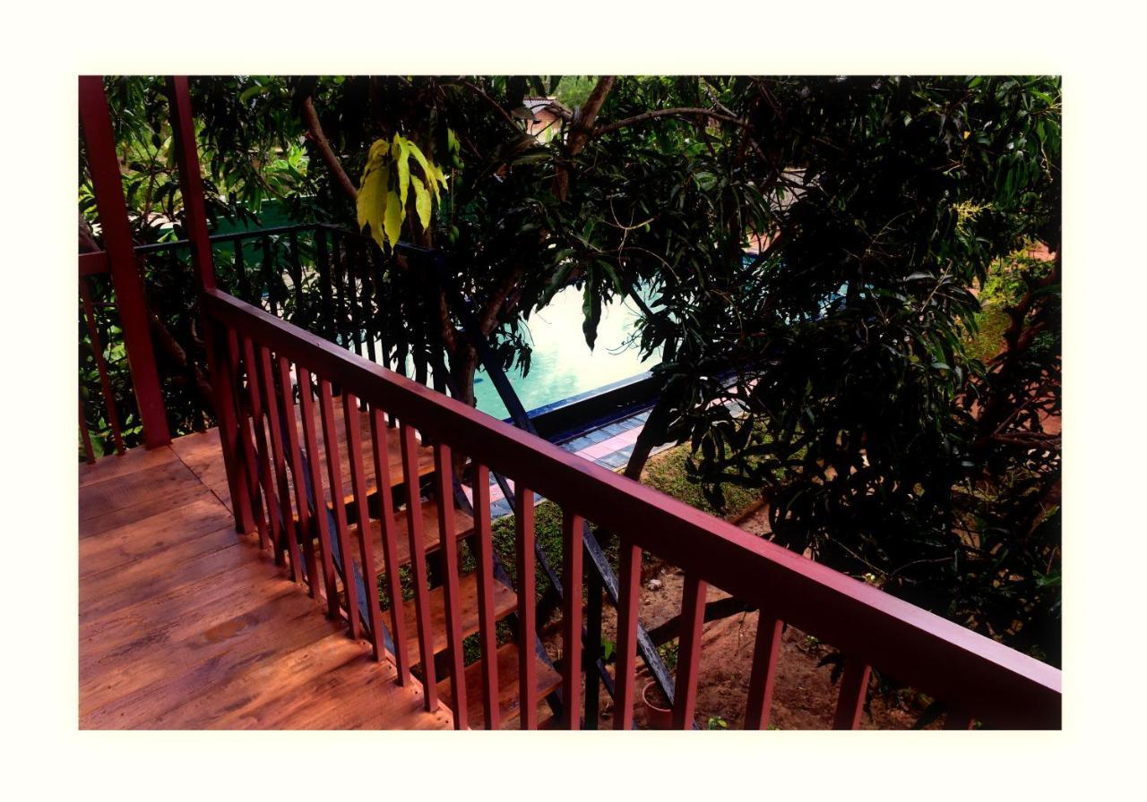 Sun And Green Eco Lodge - Дамбулла Екстер'єр фото