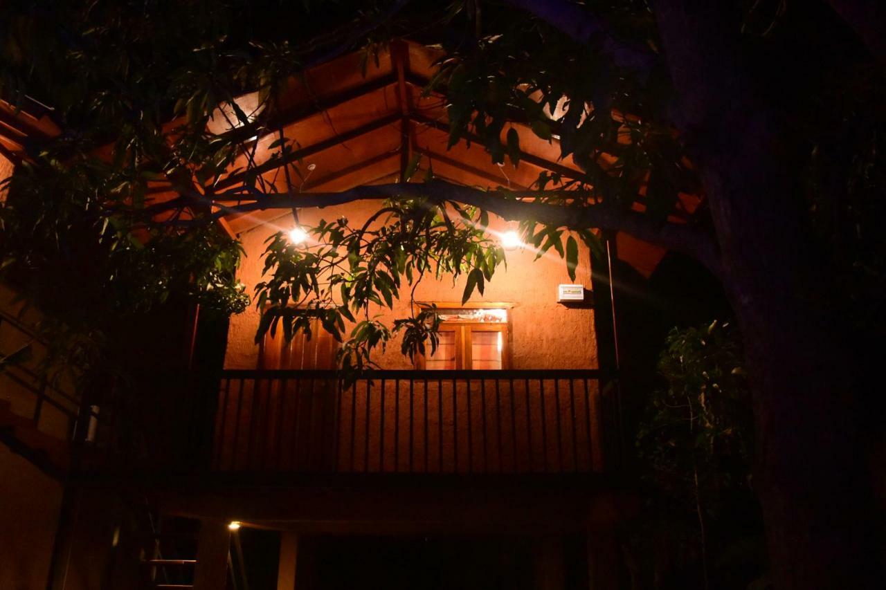Sun And Green Eco Lodge - Дамбулла Екстер'єр фото