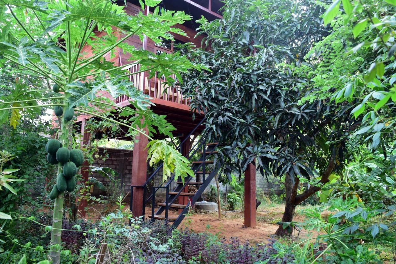 Sun And Green Eco Lodge - Дамбулла Екстер'єр фото